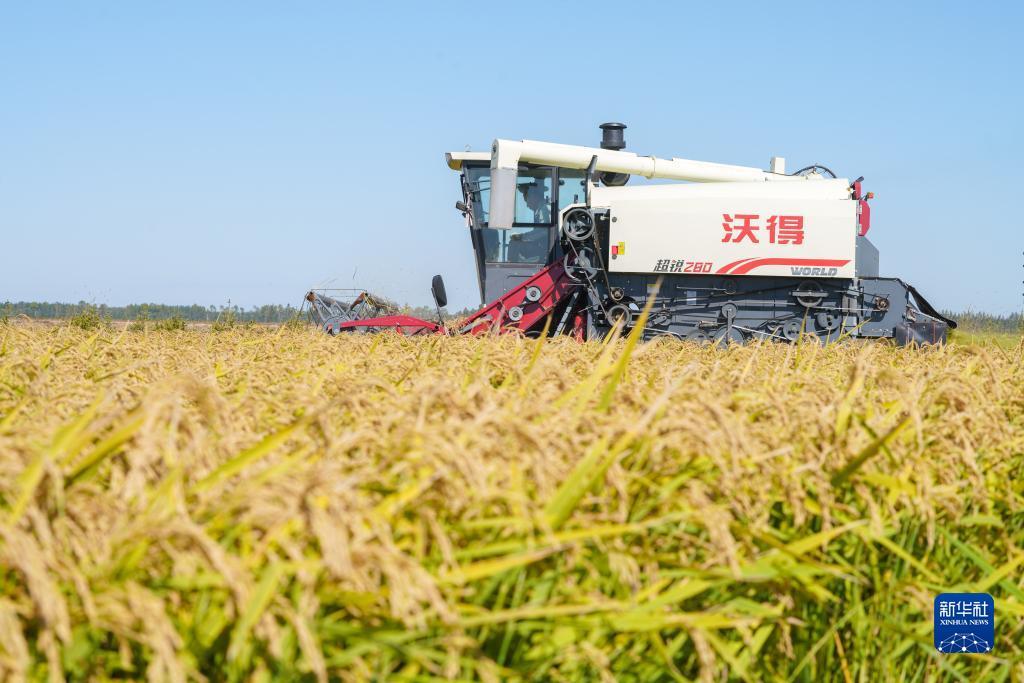 gpk劈鱼来了